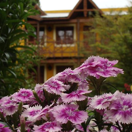 Hotel Kau Kaleshen El Calafate Exterior foto