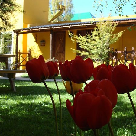 Hotel Kau Kaleshen El Calafate Exterior foto