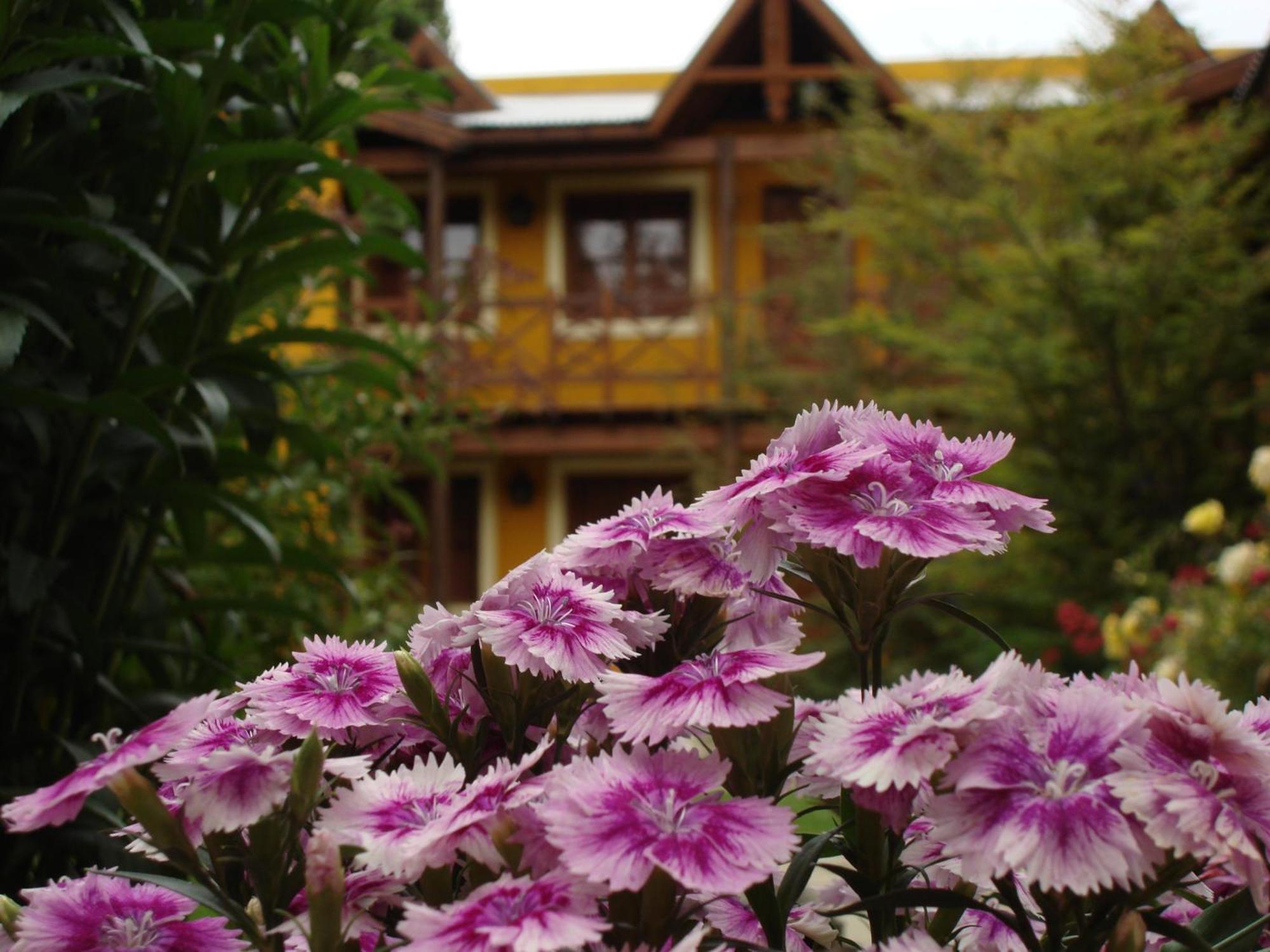 Hotel Kau Kaleshen El Calafate Exterior foto